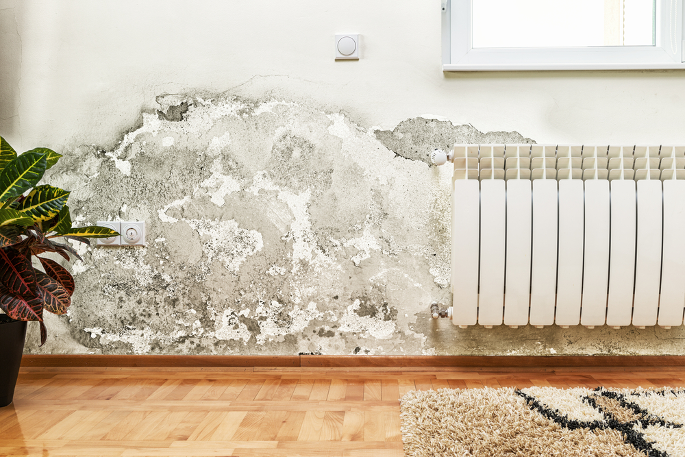 Comment déshumidifier une pièce ? Notre top des meilleures astuces ! Netsources FR
